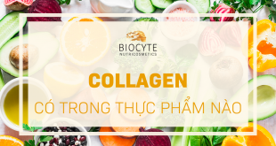 Collagen có trong thực phẩm nào